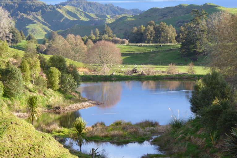 An image of a countryside with a body of water
