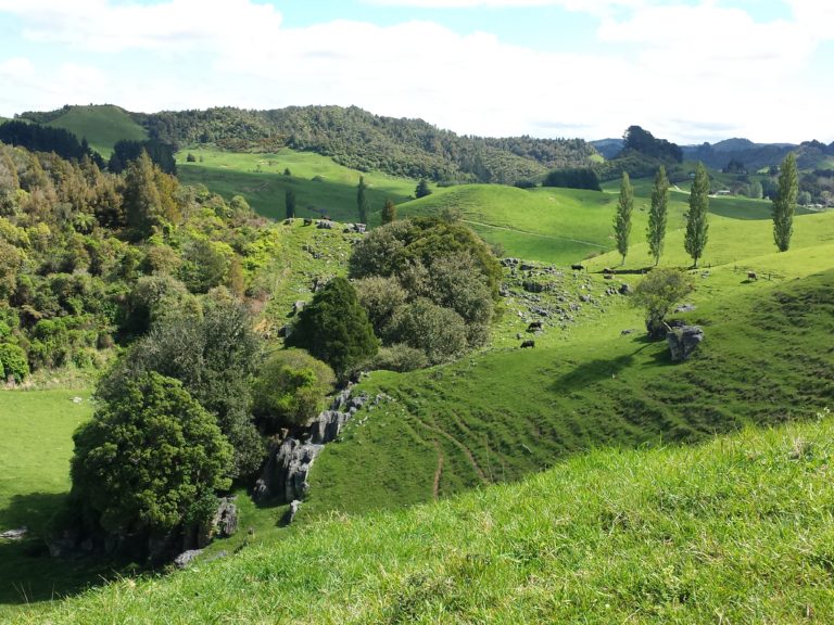 Image of rolling Waikato hills