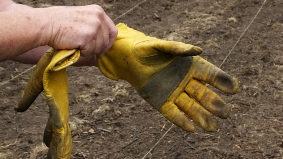 A pair of yellow gloves being put on