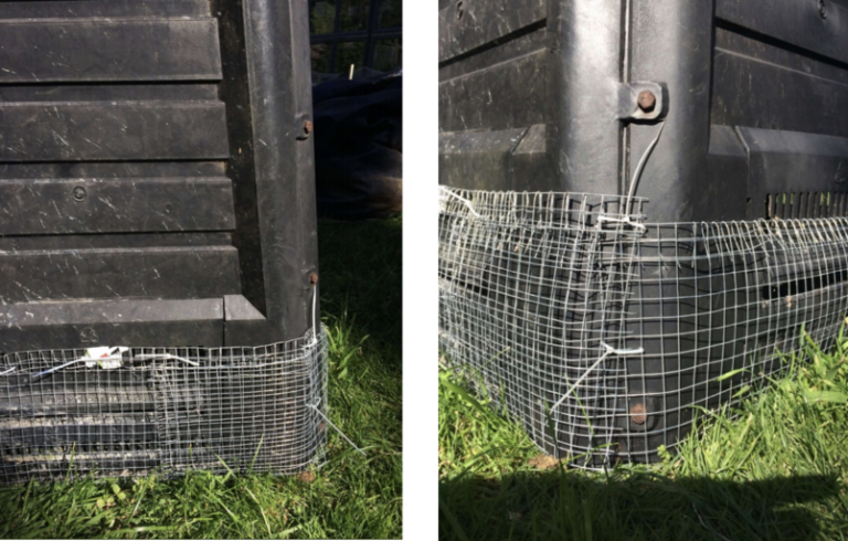 Rat proof your compost bin - Predator Free NZ Trust