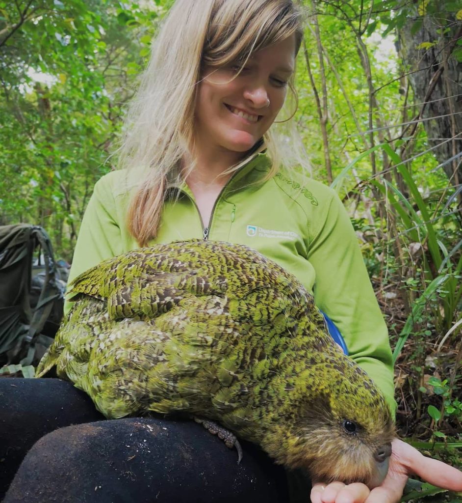 A woman sits with a kākāpō on her lap eating from her hand.