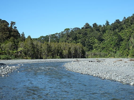 Image of the Orongorongo river and the surrounding forest