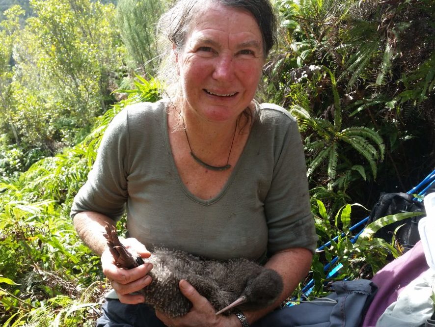 Kiwi chick in Jo Halley's arms