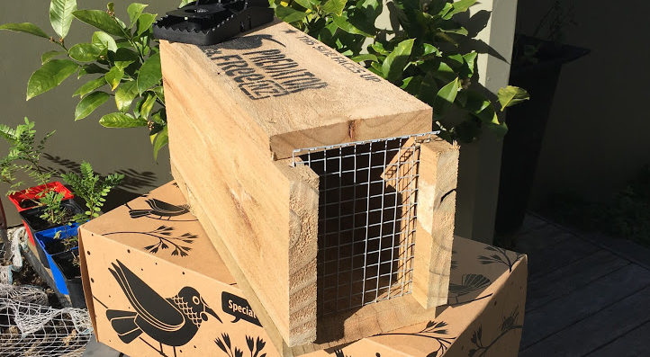 Where to buy traps and equipment - Predator Free NZ Trust
