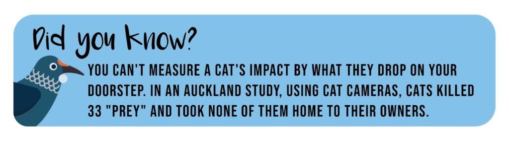 Wildlife tip: You can't measure a cat's impact by what they drop on your doorstep. In an Auckland study, using cat cameras, cats killed 33 "prey" and took none of them home to their owners.