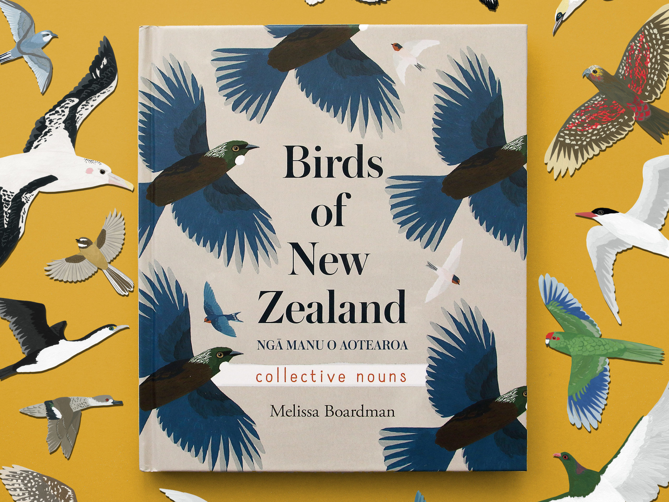 A close-up of the cover of the book with a colourful background of birds