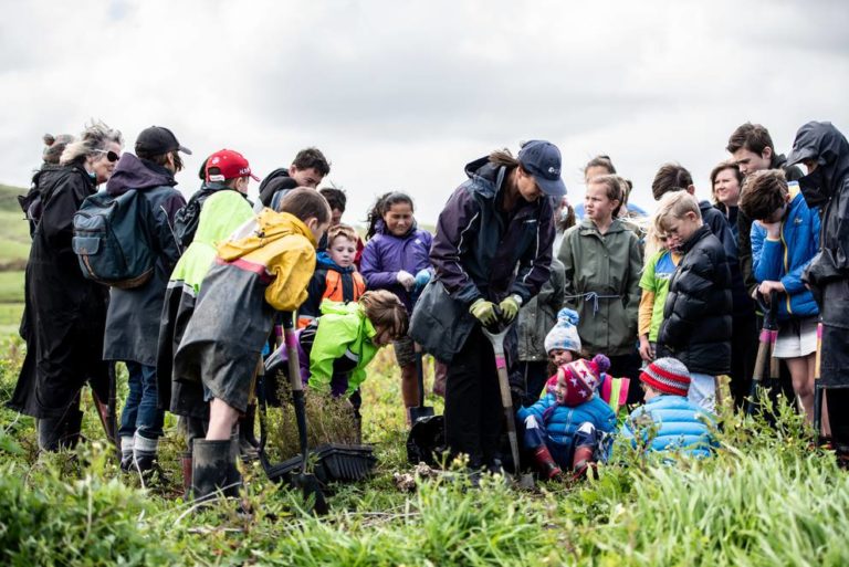 A group of school children planting