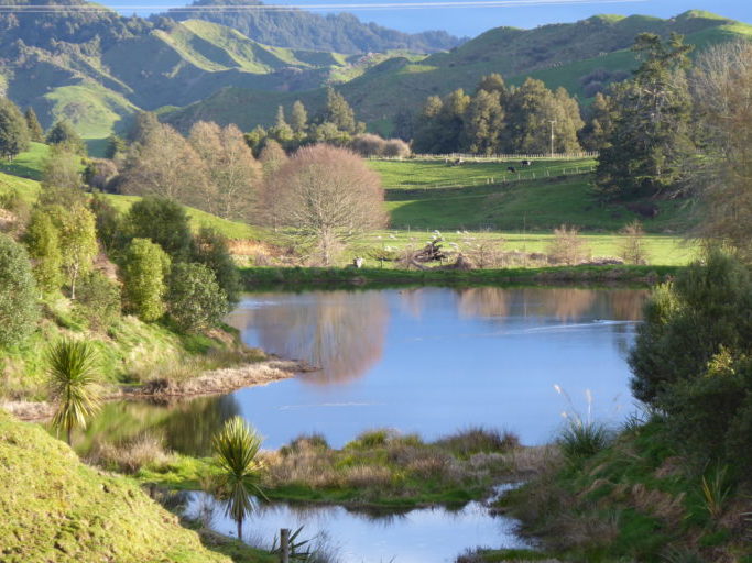 Landscape shot of farm wetlands and fields