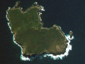An image of the South East Island/Rangatira, Chatham Islands from above