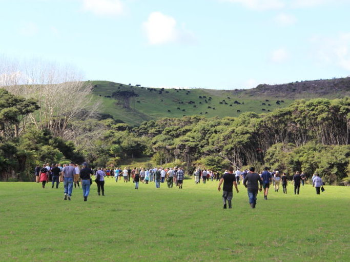 A group of people walking on a field