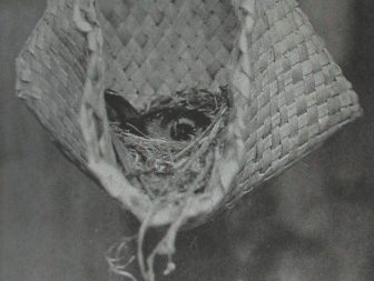 A black and white image of a flax bag with a nest inside