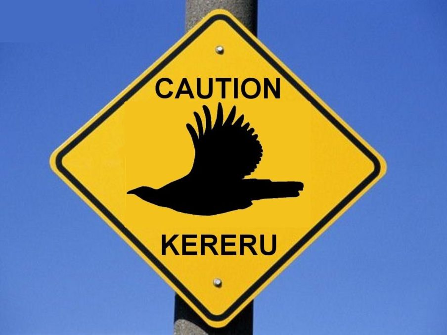 A caution kererū sign