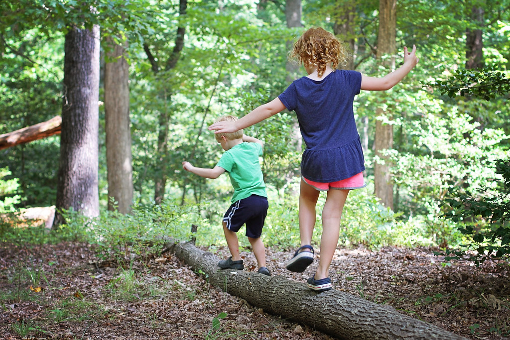 Children balancing on a fallen log.