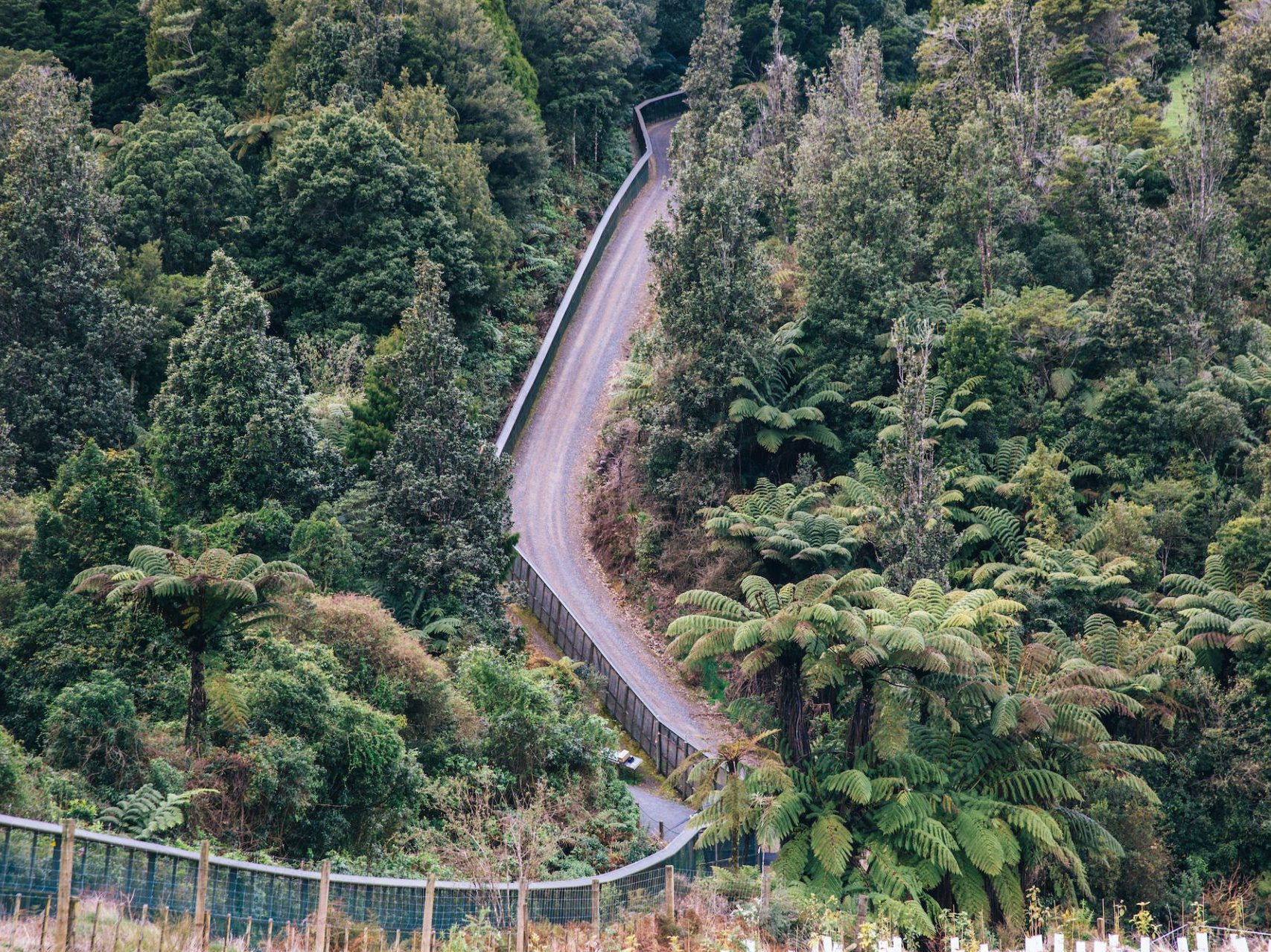 Sanctuary Mountain's protective fence.