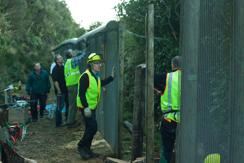 Repairs being undertaken on the Zealandia fence.