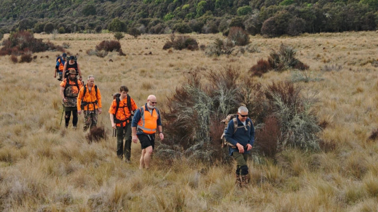 Image shows a group of Sika Foundation volunteers with Finn Giddy, walking in tussock grass heading to check trap lines in the Kaimanawa ranges for predators. 