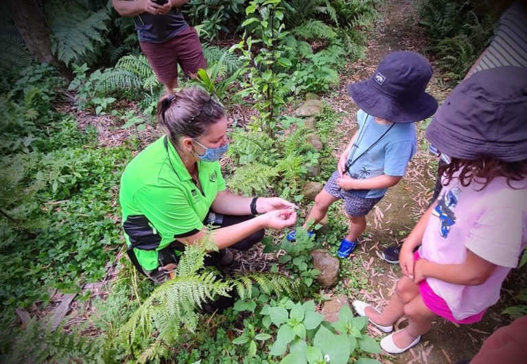 Sam showing two children the importance of pest control in the bush.