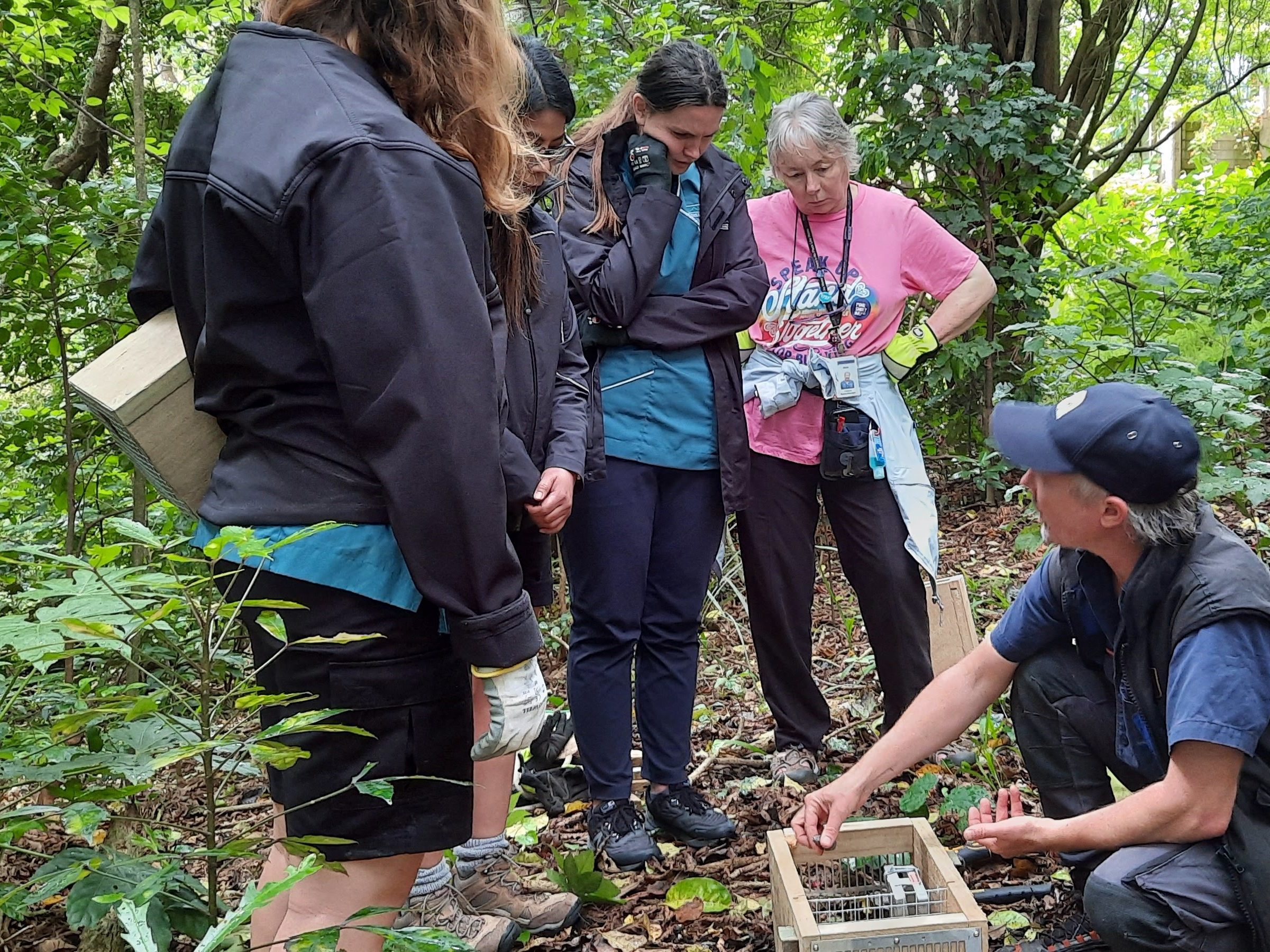 A trapper demonstrating how to set traps.