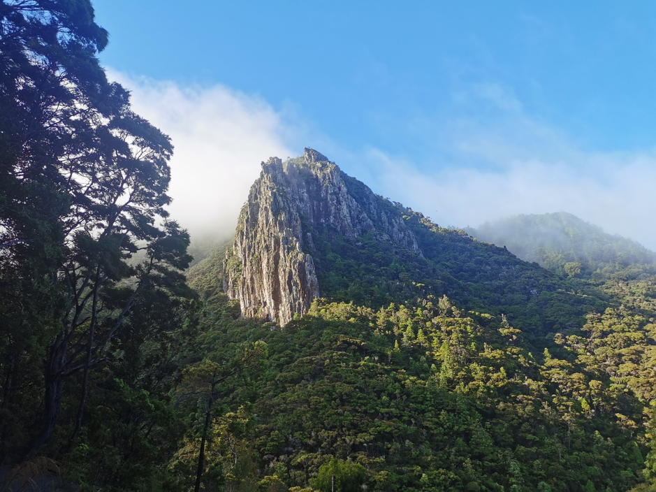 Picturesque shots of Aotea's mountainous and dense forest terrain.