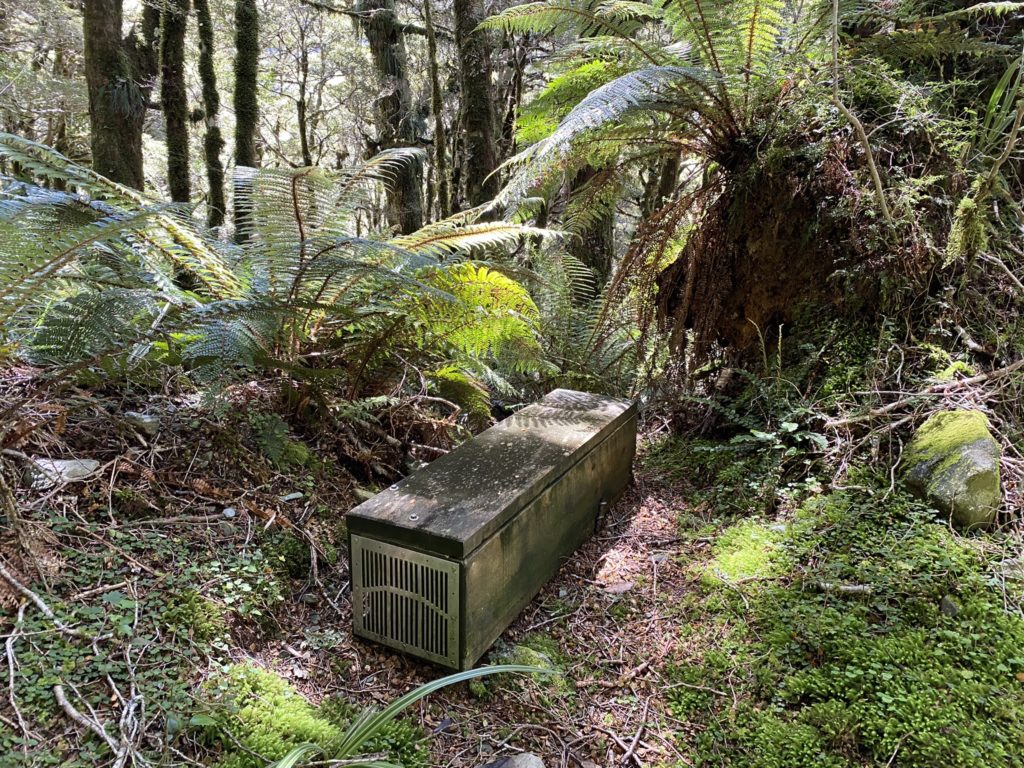 An image of a trap in native bush