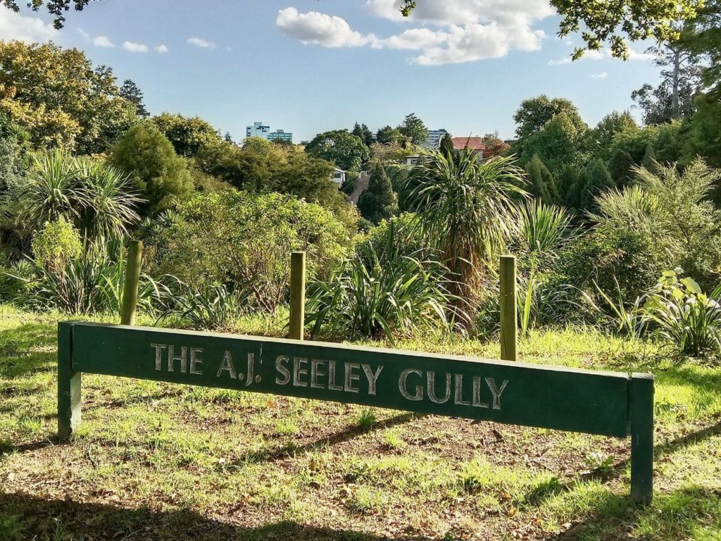 A view of the AJ Seely Gully.