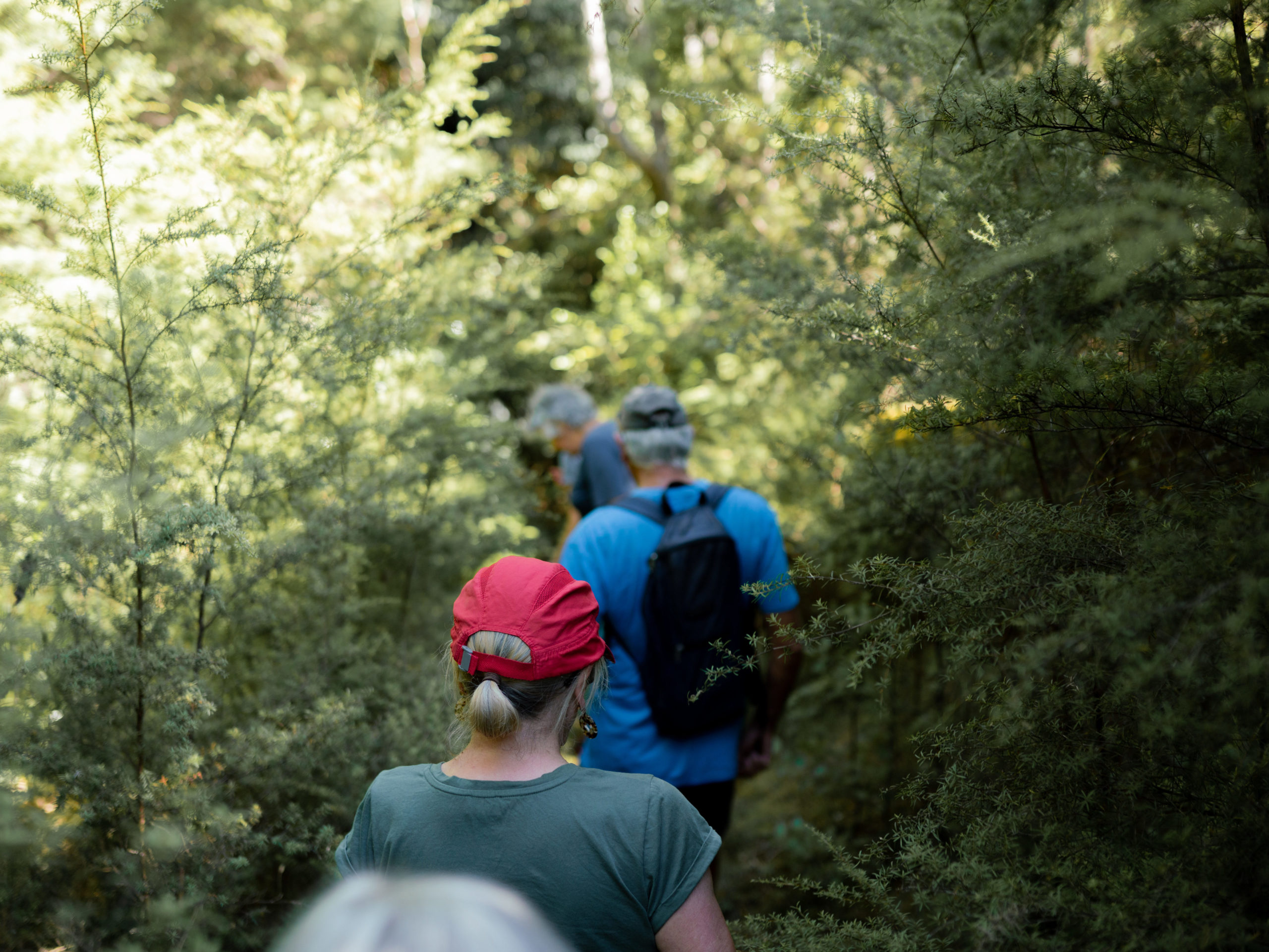 A group of people tramping through bush