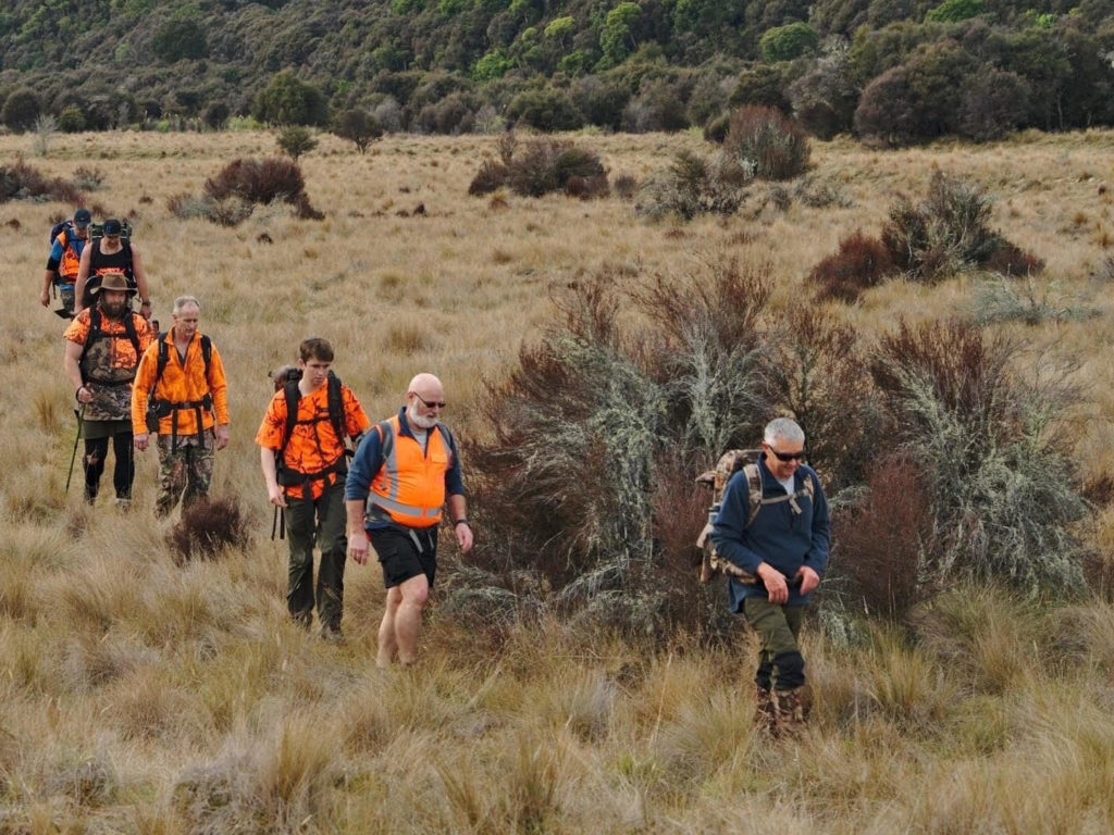 Image shows a group of Sika Foundation volunteers with Finn Giddy, walking in tussock grass heading to check trap lines in the Kaimanawa ranges for predators. 