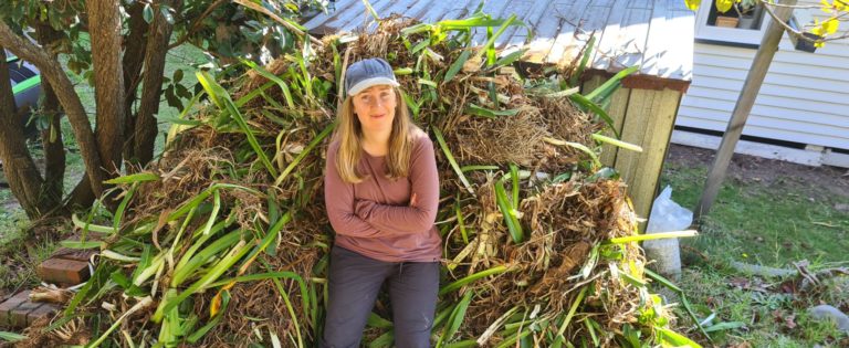 Holly with big pile of agapanthus.