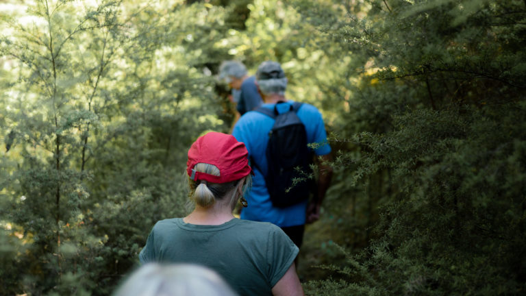 A group of people tramping through bush