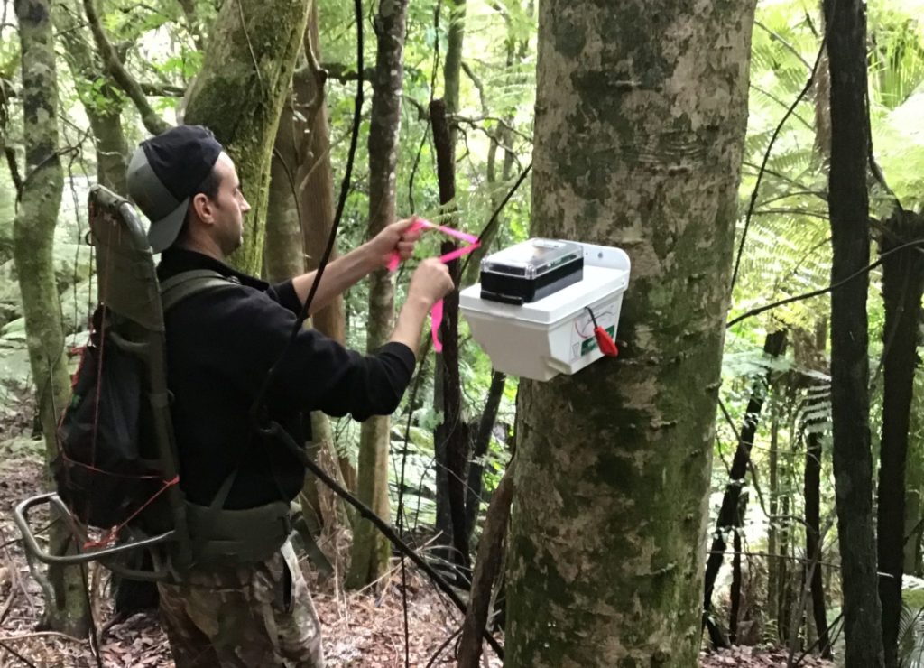 A high-tech trap set up on a tree trunk.
