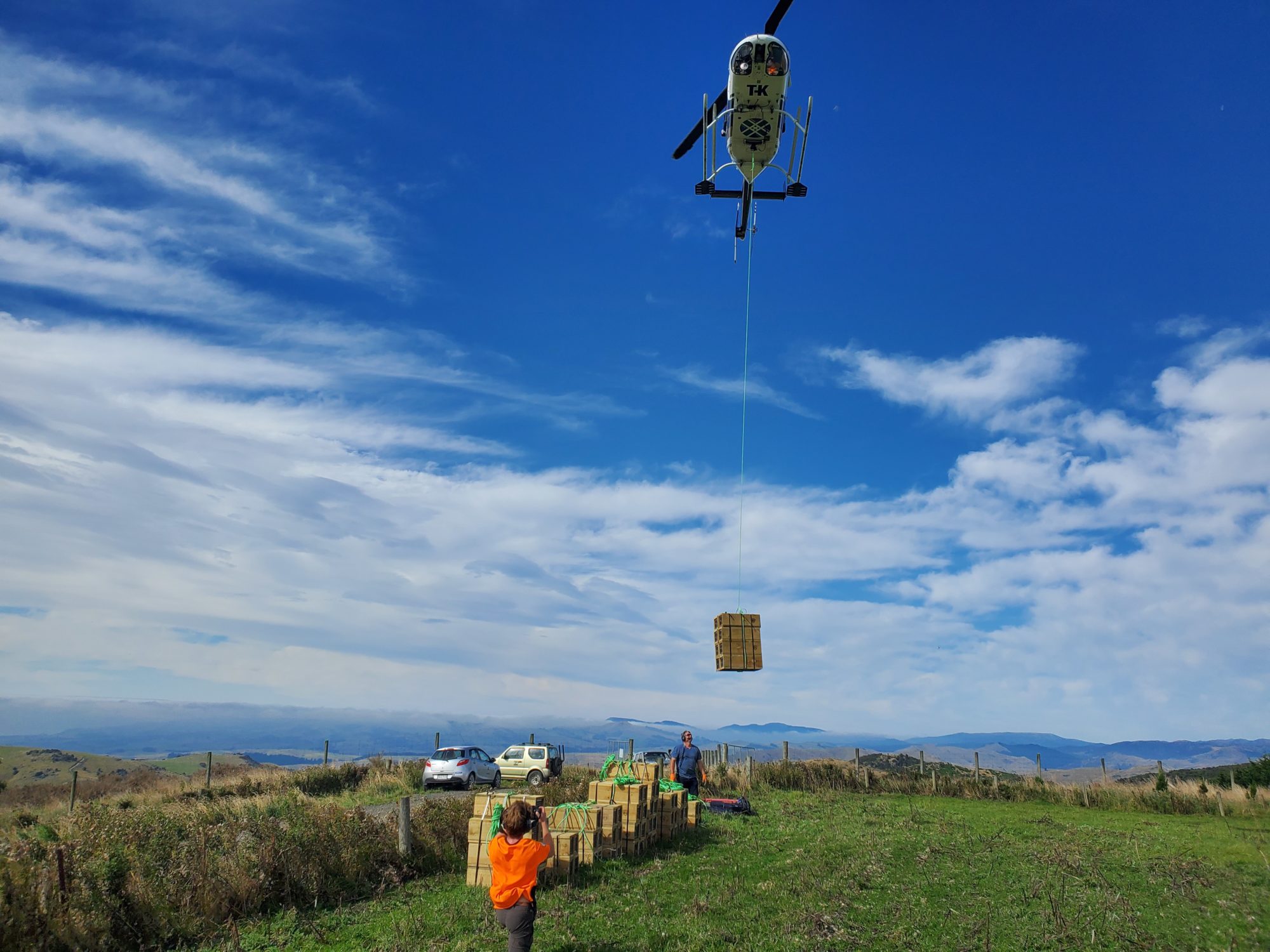 Day in the life installing a trap network in an ancient forest