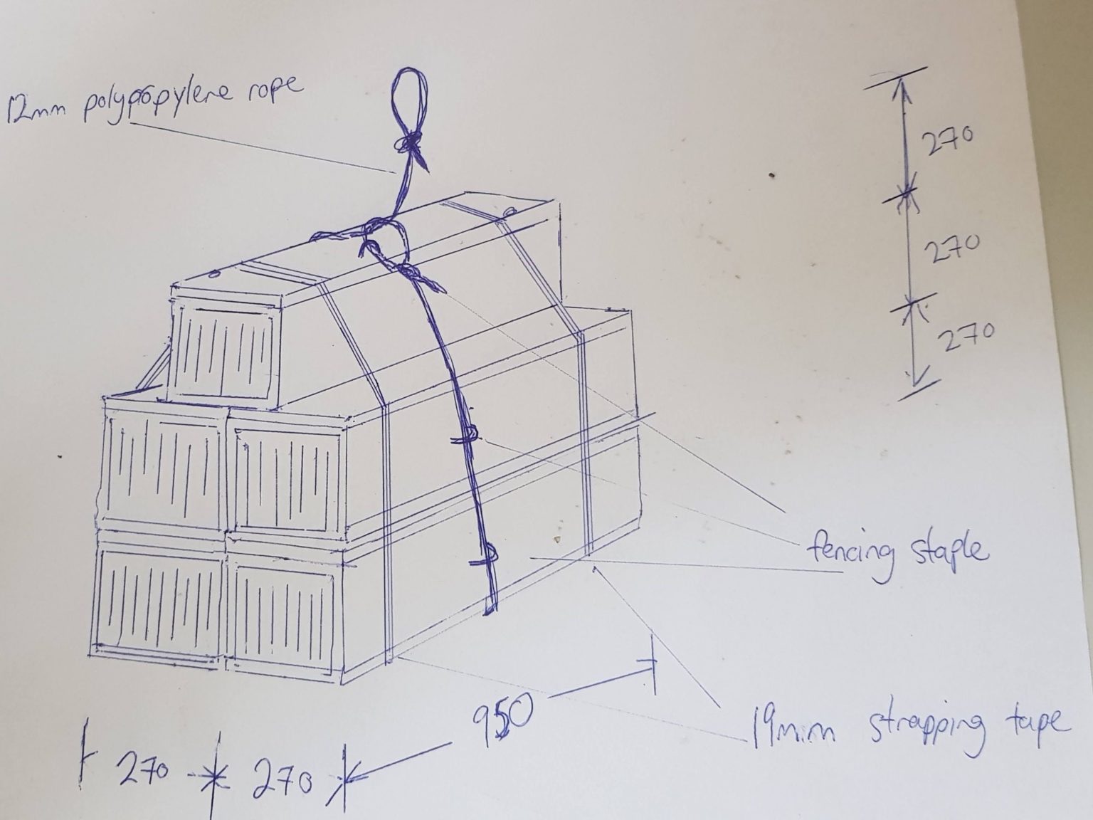 Day in the life installing a trap network in an ancient forest