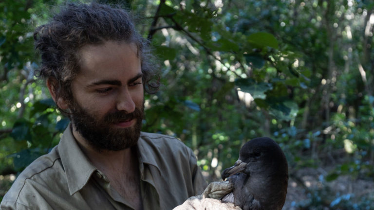 Simon holding a shearwater in his hands.