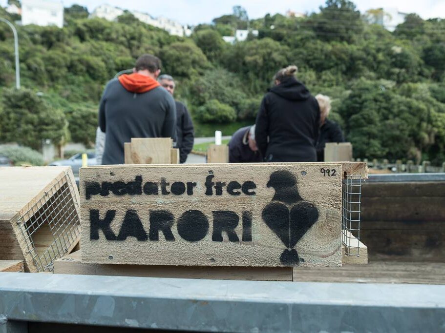Trap with Predator Free Karori painted on the side