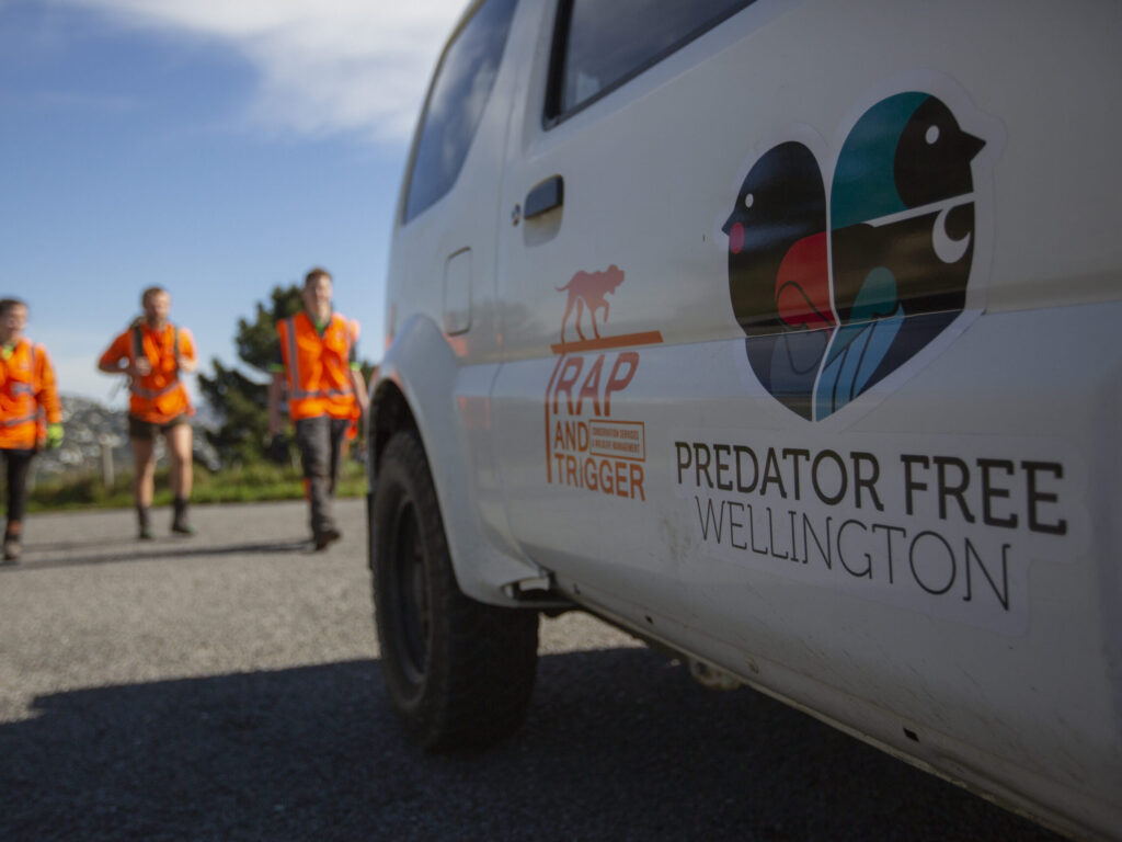 A Predator Free Wellington van.