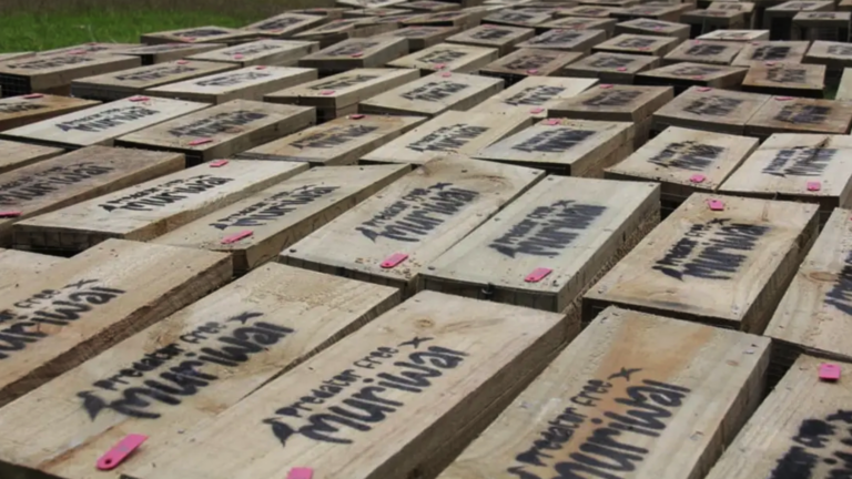 A collection of wooden trap tunnels with Predator Free Muriwai stencilled on the back.