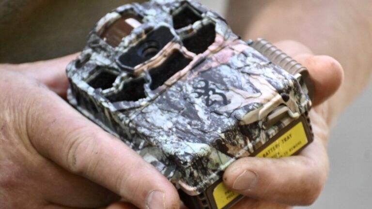 Smile for the camera: 5 tips for trail cameras