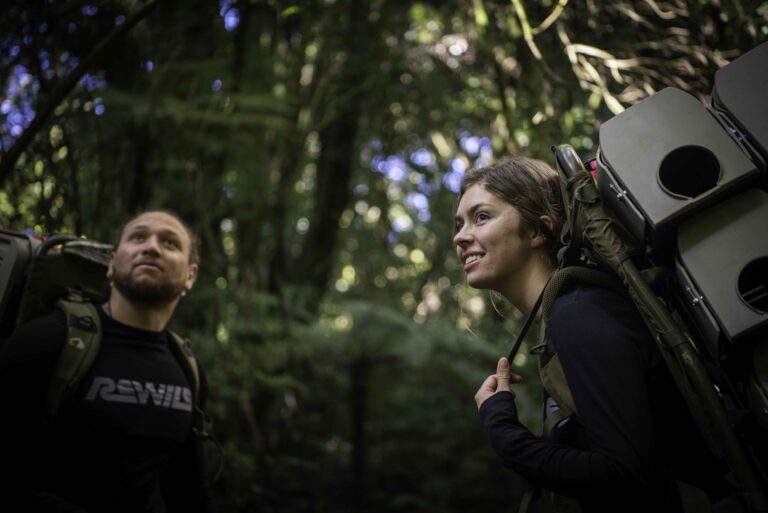 Two volunteers in the forest.