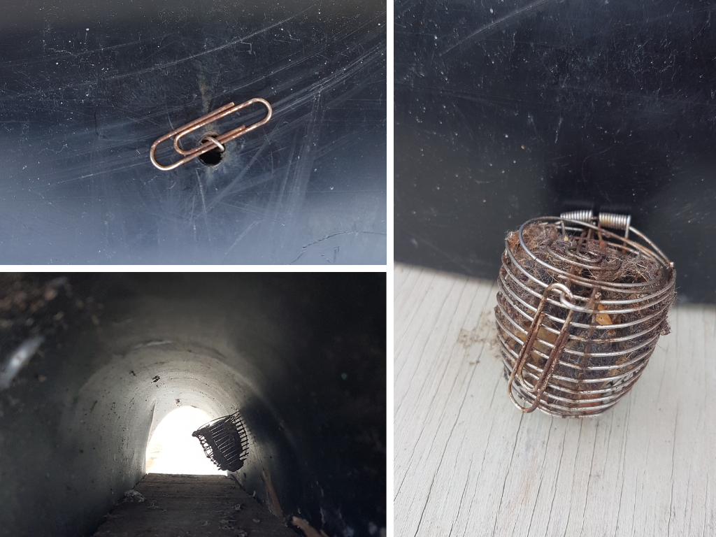 Collage of a bait cage hung by a paperclip inside a tunnel.