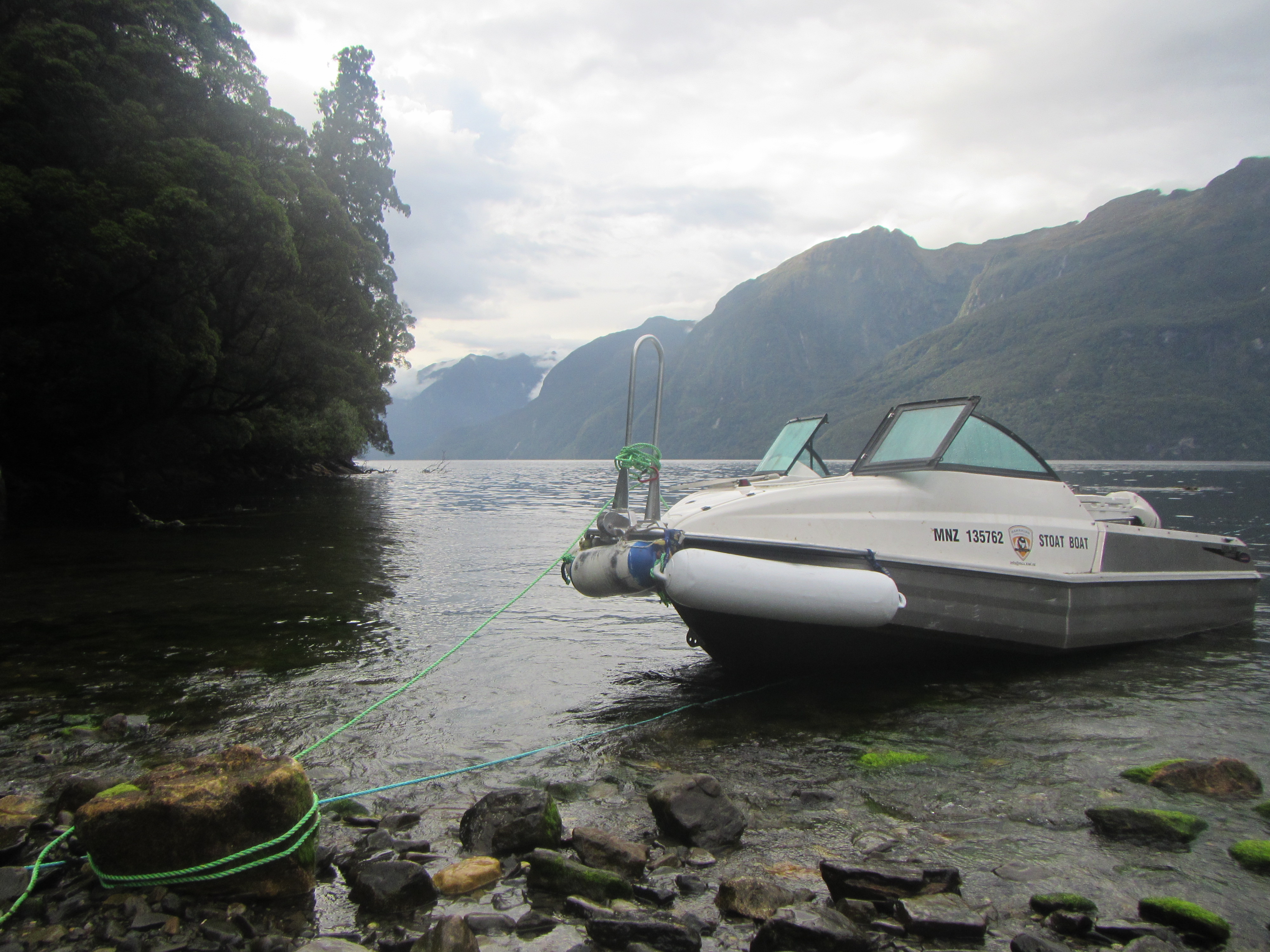 A dingy pulled up to rocks in Doubtful Sound