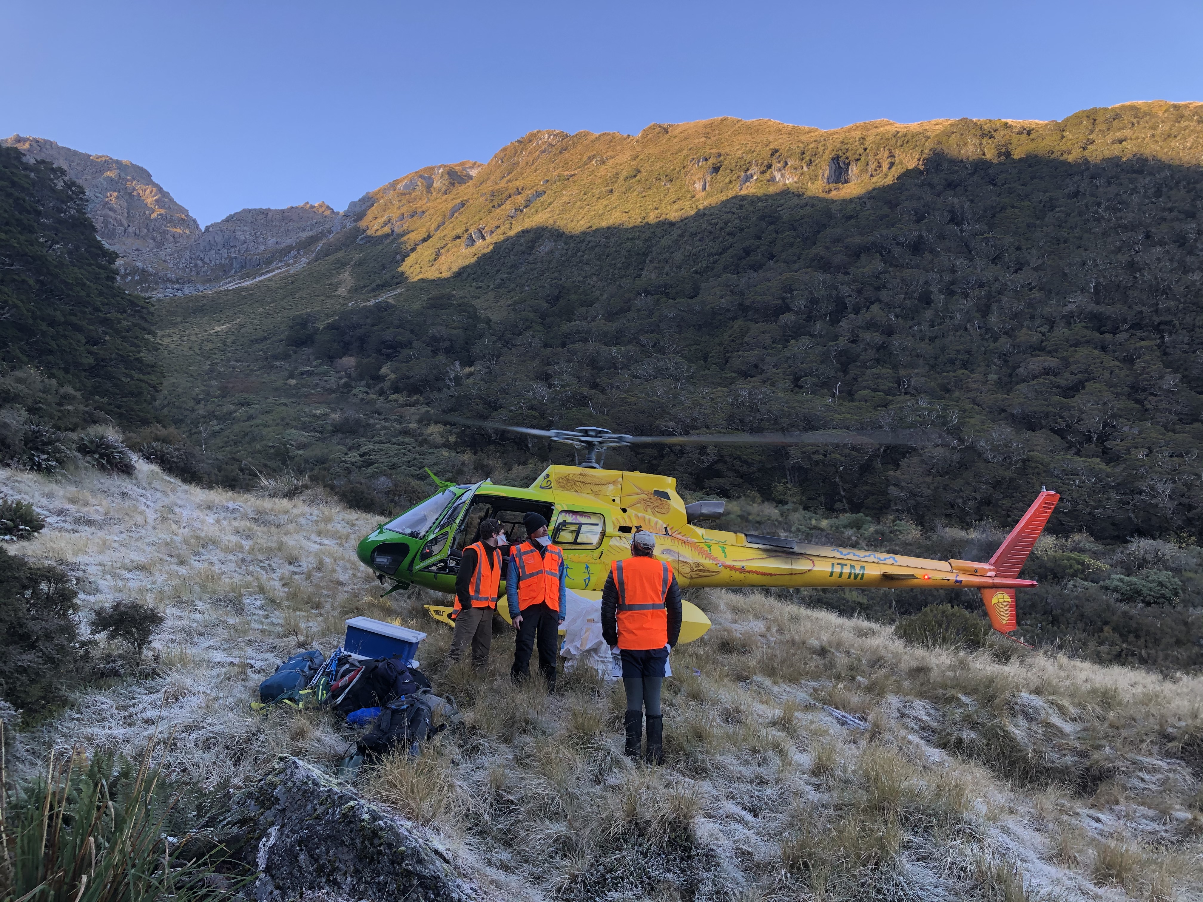 The research team standing near a helicopter as the sun rises on bush-clad mountains.