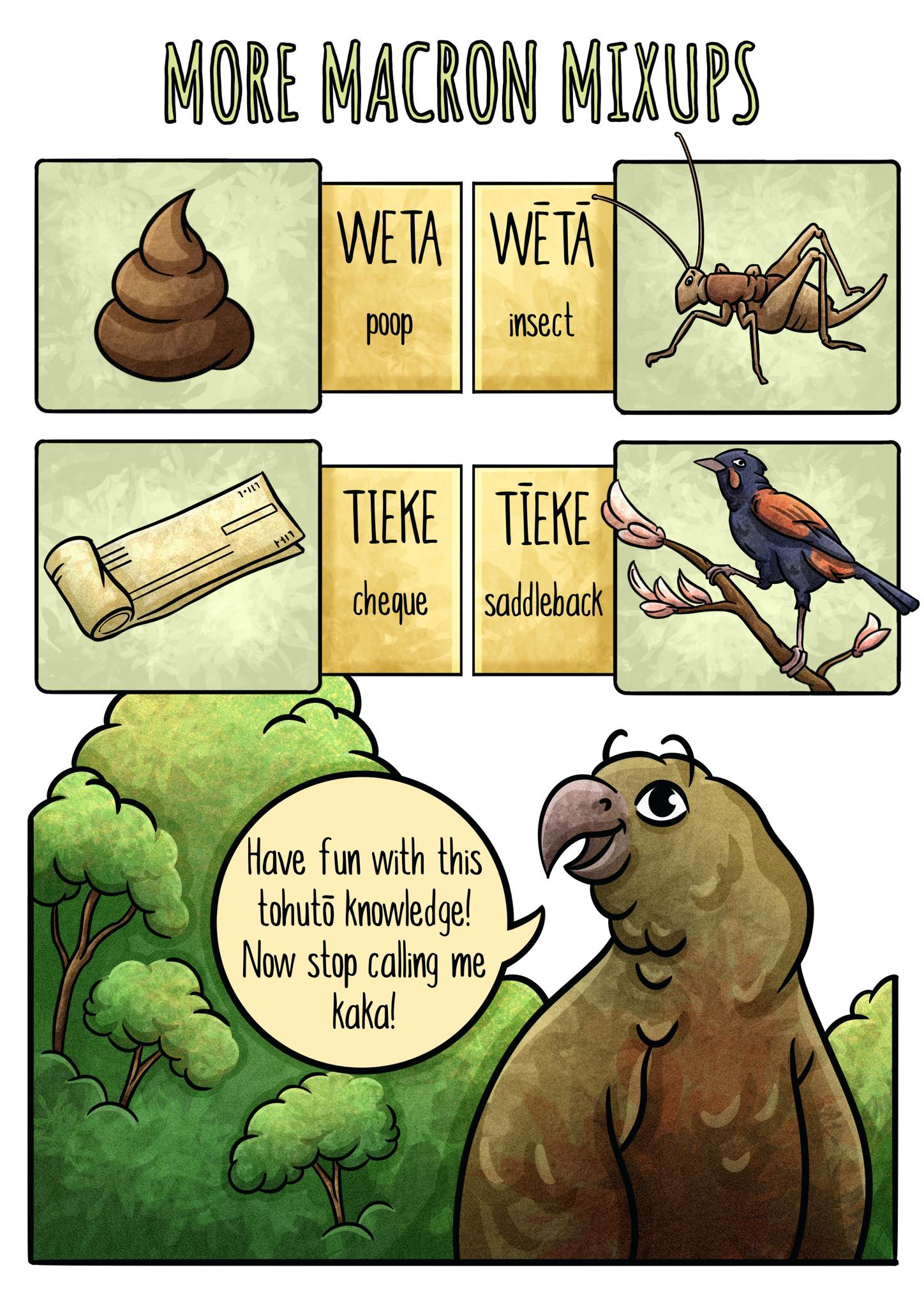More mixups. Showing side by side weta (poop) vs wētā (insect). Tieke (cheque) vs tīeke (saddleback bird).