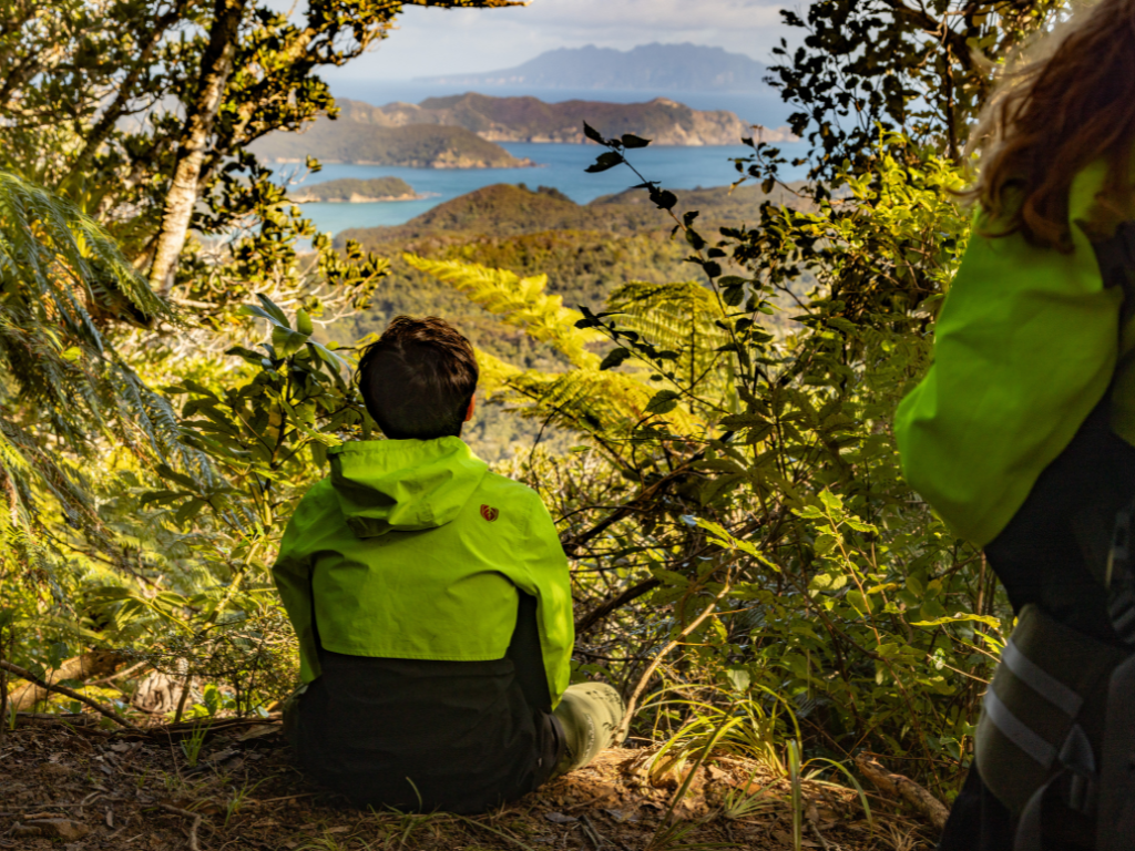 Person looking out over bush and outlying islands around Aotea Great Barrier Island.