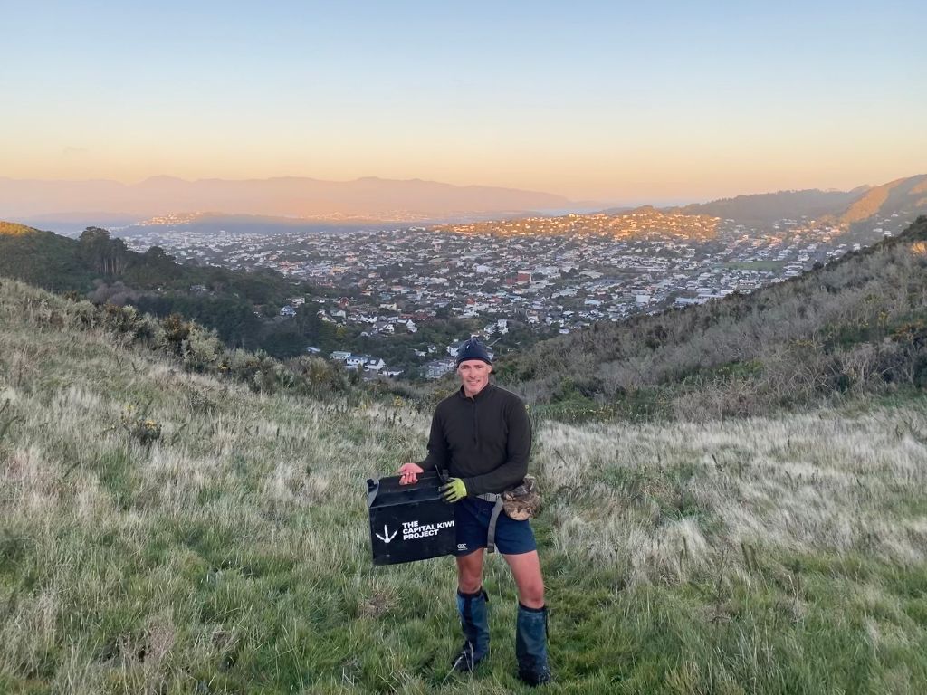 Capital Kiwi founder Paul Stanley Ward translocating kiwi to hills above Wellington.