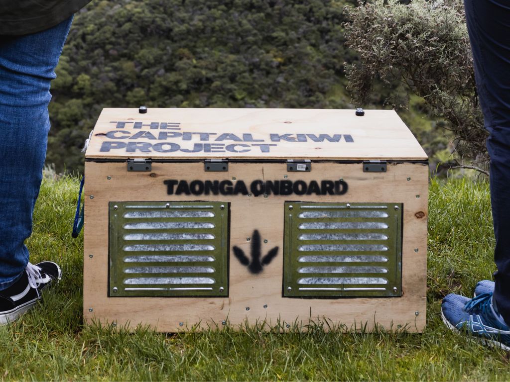 Wooden box for transporting kiwi sits on the ground, with a person standing either side of it.