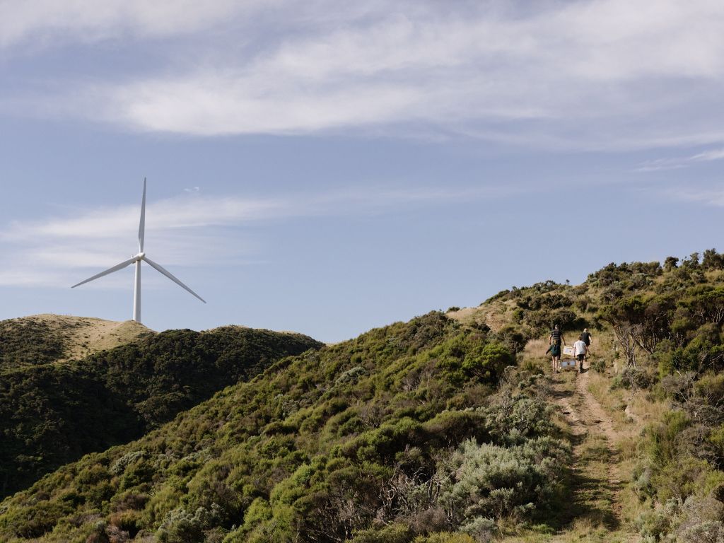 A wind turbine towers over Capital Kiwi staff as they prepare to release a kiwi.