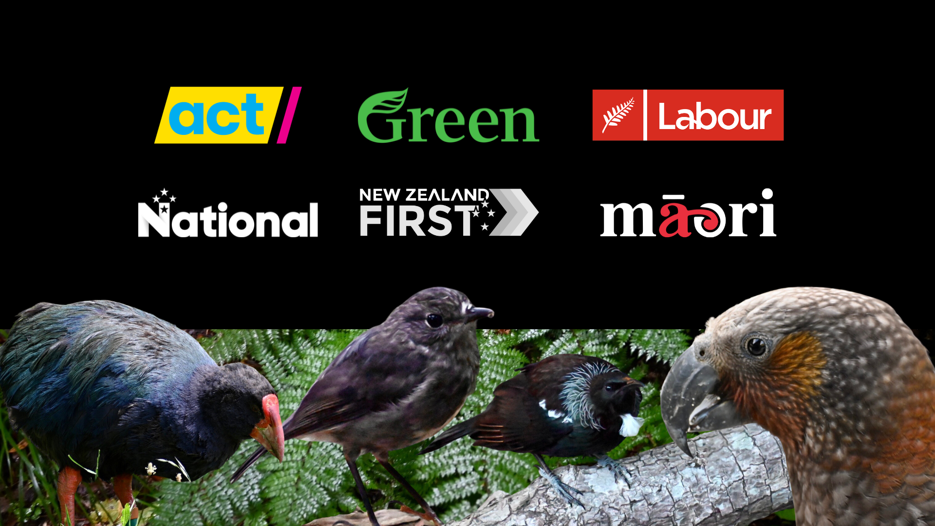 Native birds with New Zealand political part logos on a black background.