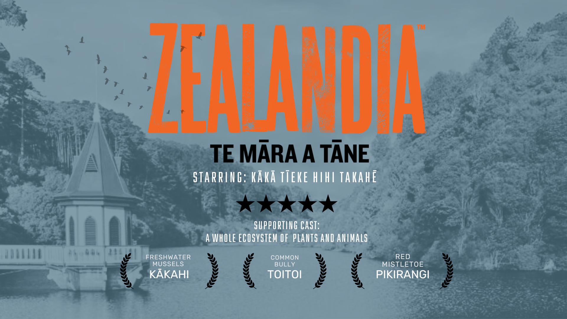 Movie poster showing Zealandia logo starring kākā, tīeke, hihi and takahê.