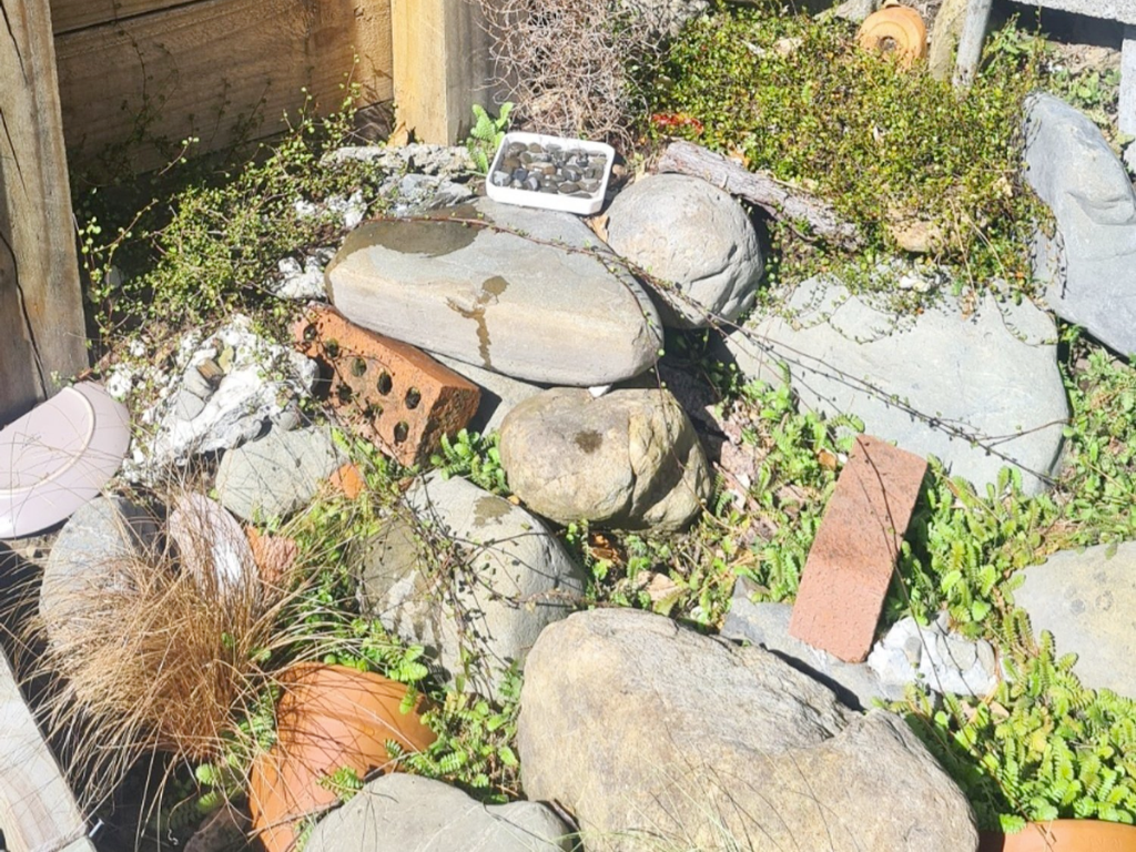 Rocks and bricks in a pile in the lizard garden.