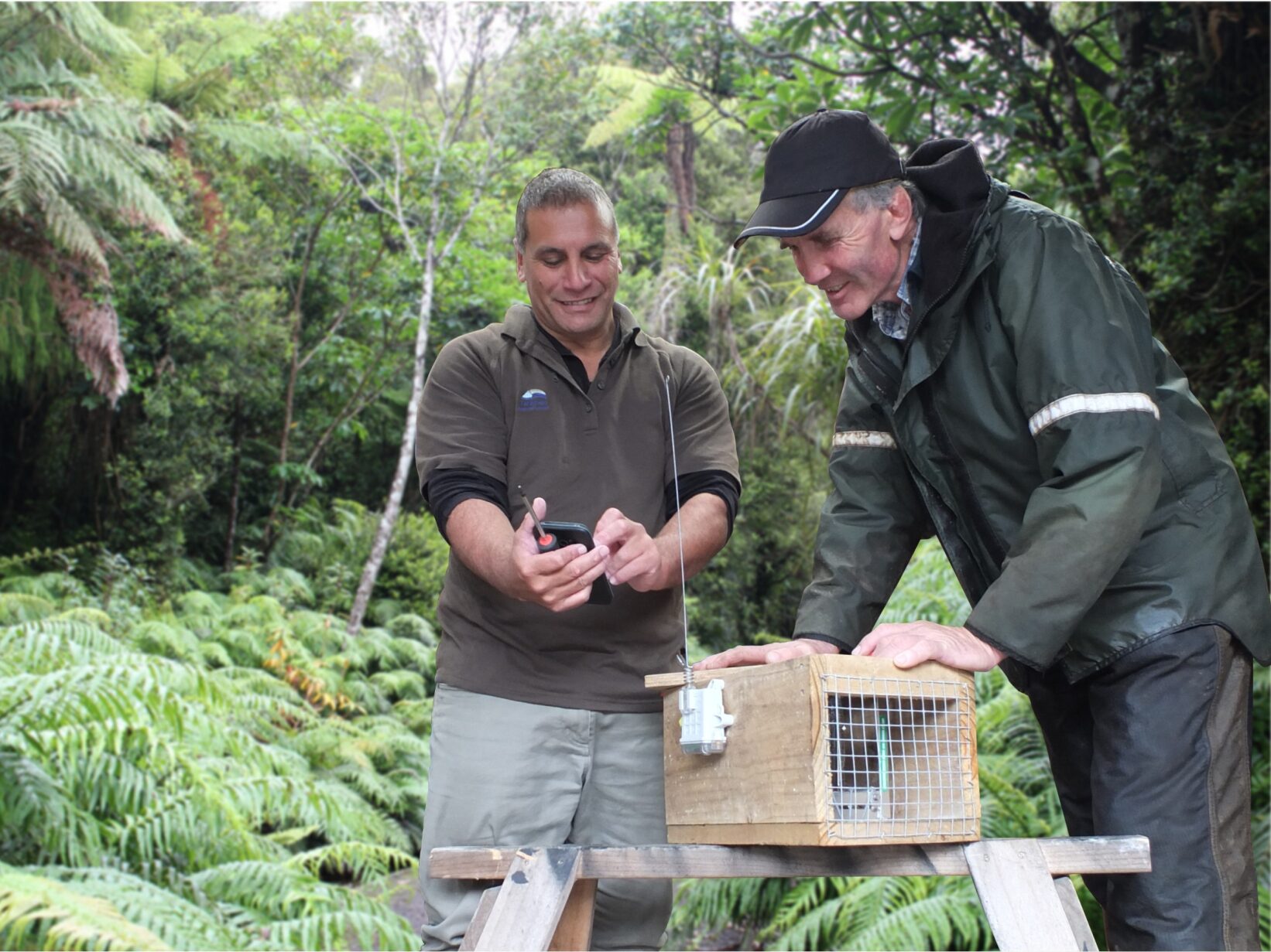 Two fieldworkers set up a trap in native bush